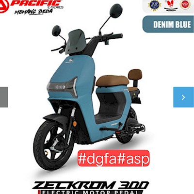 Pacific Zeckrom 300 – Electric Motor Pedal (Denim Blue)